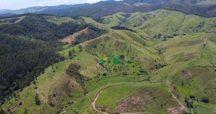 Fazenda com 3 dormitórios à venda, 968000 m² por R$ 4.000.000 - Centro - Guaratinguetá/SP