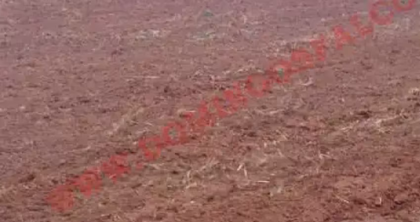 Fazenda à venda na Área Rural de Artur Nogueira, Artur Nogueira 