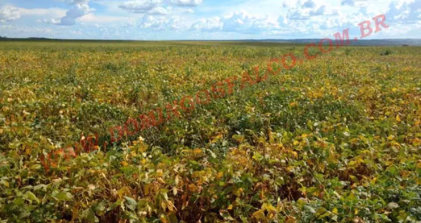 Fazenda à venda na Zona Rural, Santa Rita do Trivelato 
