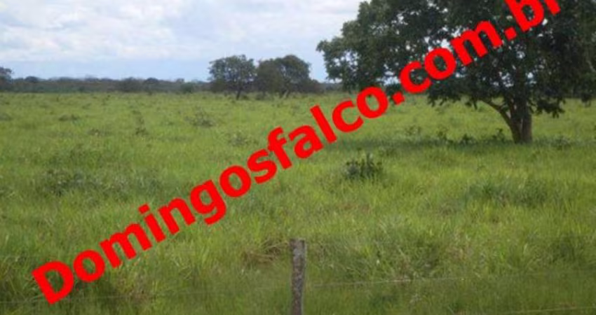 Venda ZonaRural São Félix do Araguaia/MT