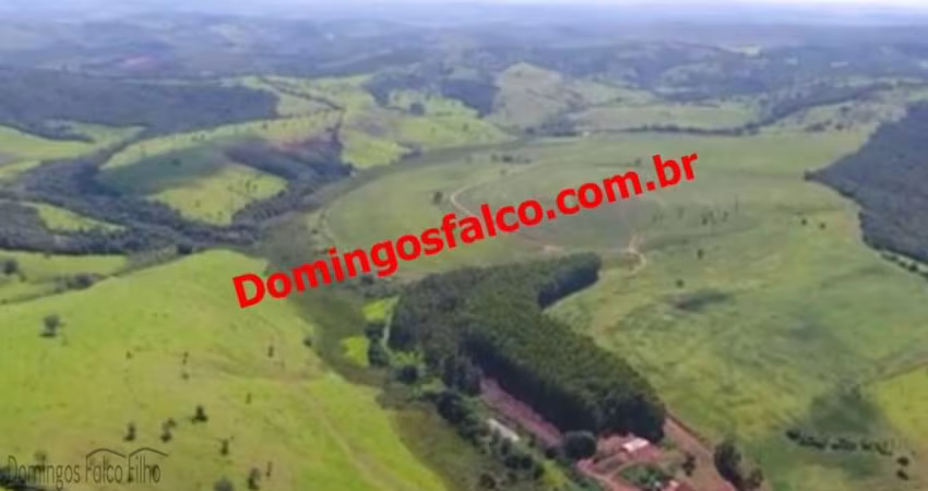 Venda ZonaRural Pimenta /MG