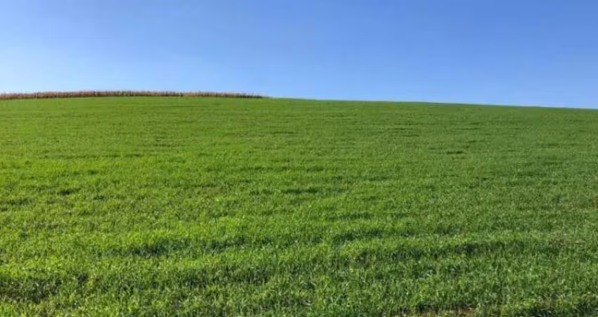 Fazenda à venda na Zona Rural, Goioxim 