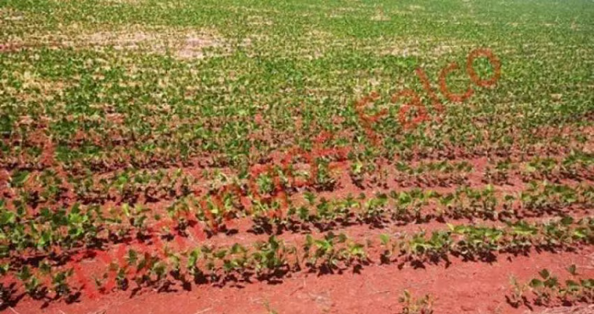 Fazenda à venda na Área Rural de Avaré, Avaré 