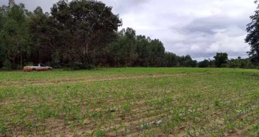Fazenda à venda na Zona Rural, São Gonçalo do Pará 