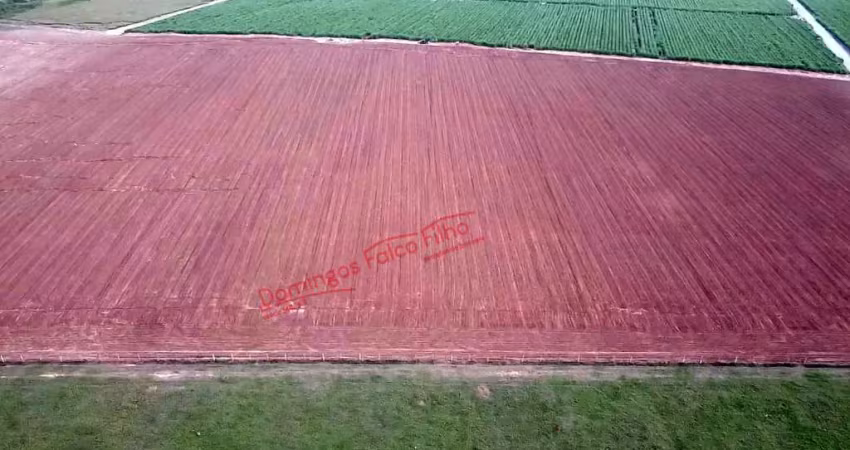 F6622  vende-se area de em rio claro /sp  venda zonarural rio claro/sp