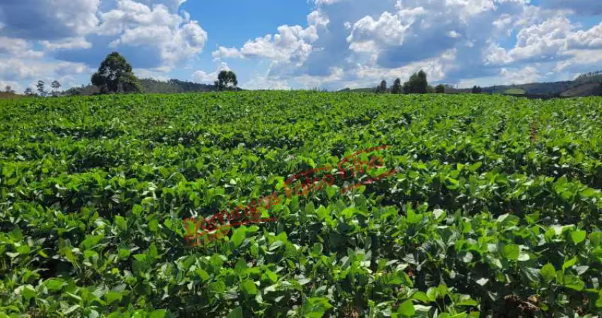 Fazenda à venda na Zona Rural, Ipuiúna 