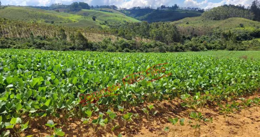 Fazenda à venda na Zona Rural, Caldas 