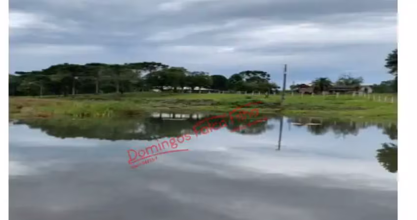 Fazenda à venda no Centro, Guarapuava 