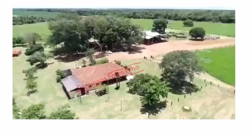Fazenda à venda na Área Rural de Novo Planalto, Novo Planalto 