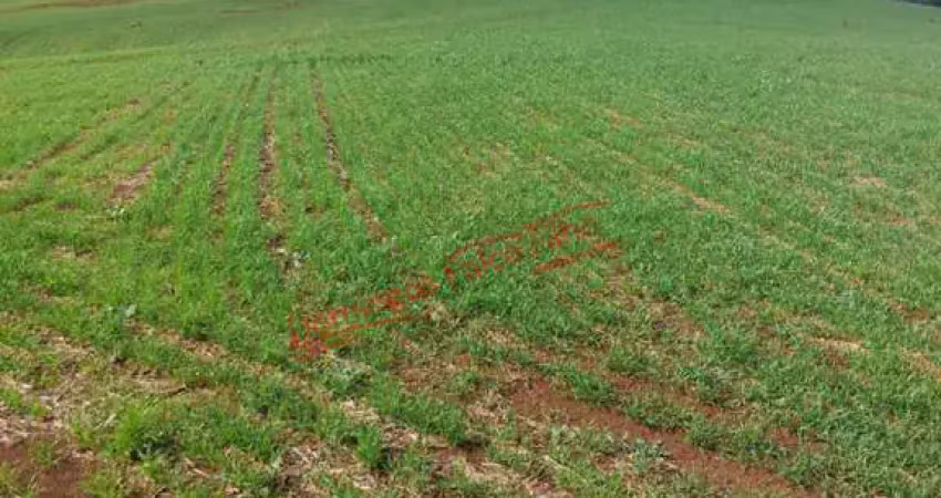 Fazenda à venda na Zona Rural, Goioxim 