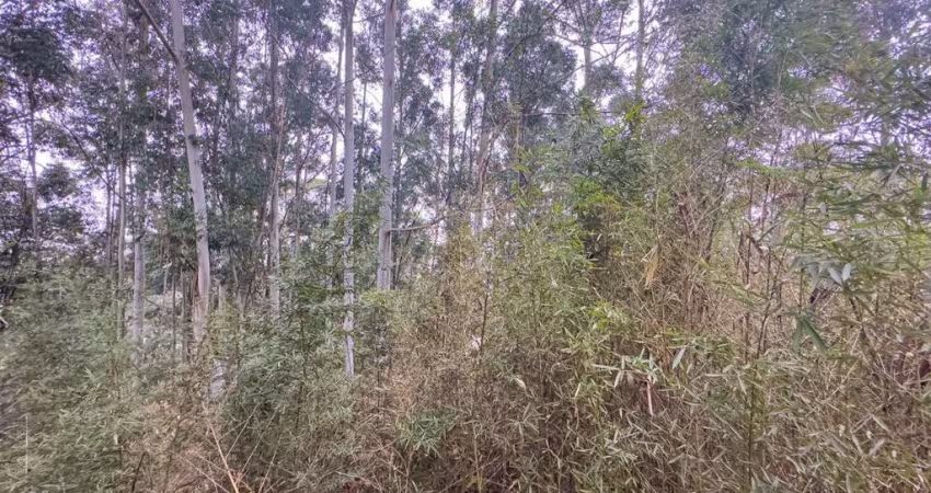 Terreno em condomínio fechado à venda na Avenida Andradina, 388, Residencial Tamboré, Barueri