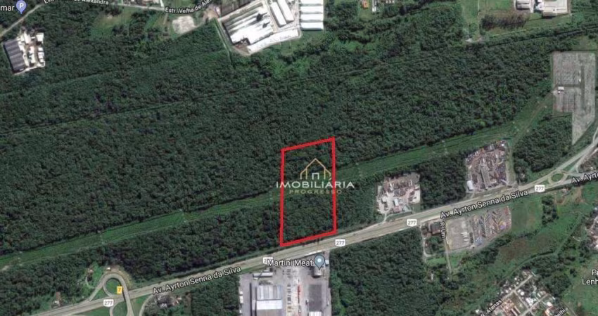 Terreno à venda, 28598 m² por R$ 20.000.000,00 - Alexandra - Paranaguá/PR