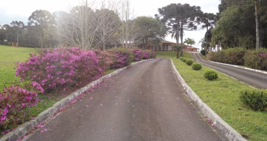 Terreno à venda, 116000 m² por R$ 7.800.000,00 - Jardim Diamante - Campina Grande do Sul/PR