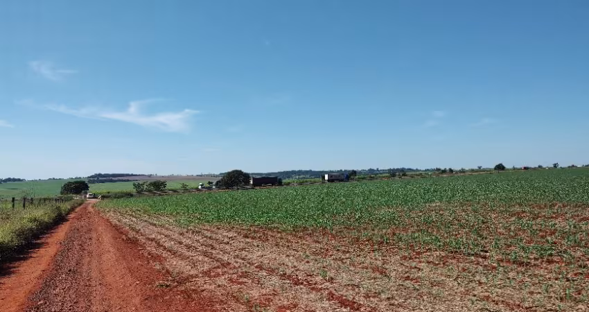 Fazenda de 15 alqueires em lavoura ou cana em Morrinhos, GO.