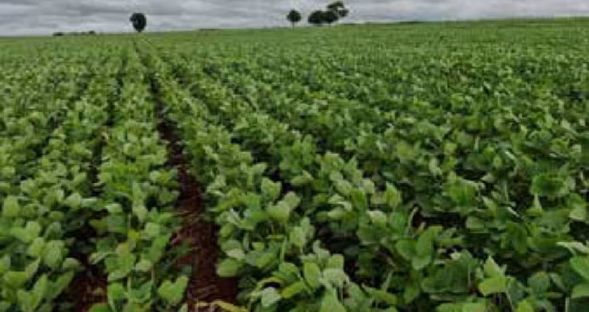 Fazenda de 715 alqueires dupla aptidão em Goiás