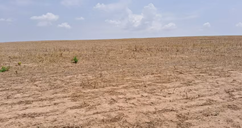 Fazenda de agricultura a venda em Goiás