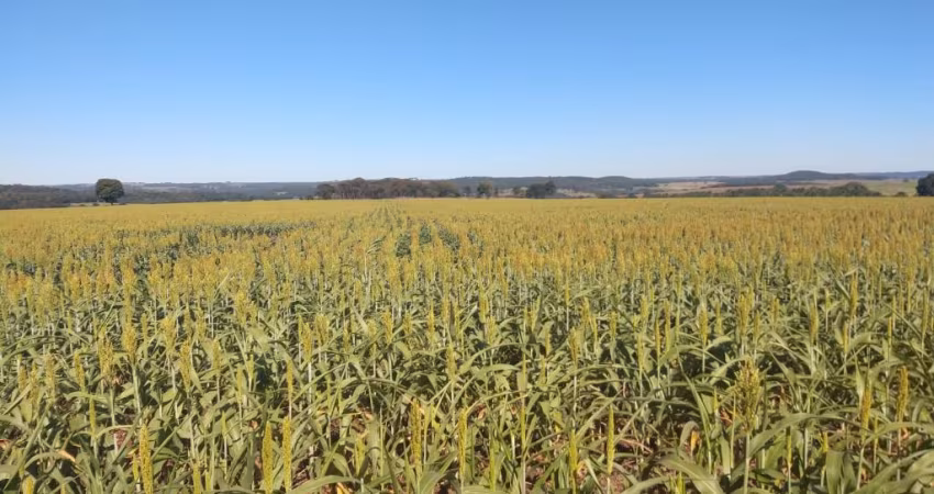 Fazenda lavoura a venda em Goiás