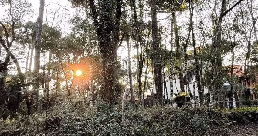 Lote a venda em gramado rs, próximo lago negro com área verde