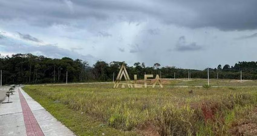 Terreno à venda, 300 m² por R$ 230.000 - Balneário Piçarras/SC