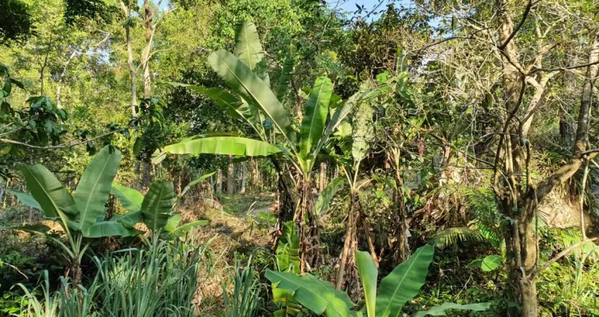 Chácara / sítio à venda na Estrada Cristóvão Machado de Campos, Vargem Grande, Florianópolis