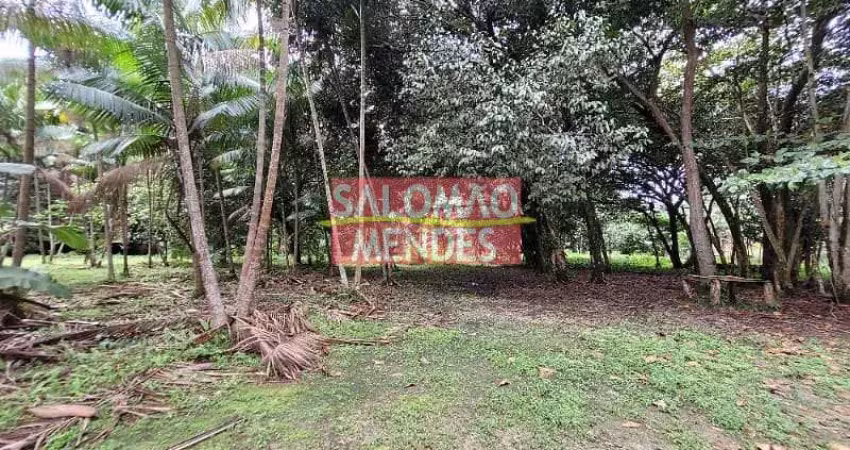 Terreno à venda/locação 35000m², rodovia do tapanã px a augusto mointeegro