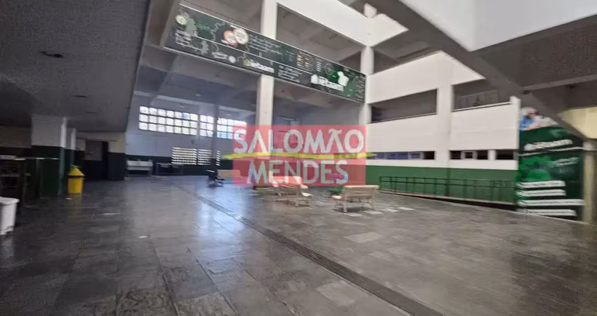Edificio com 5 andares e elevador em são brás. 60 vagas privativas
