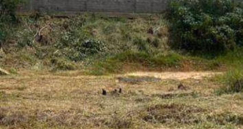 Terreno à venda, 500 m² por R$ 380.000,00 - Loteamento Comercial Bortoletto - Indaiatuba/SP