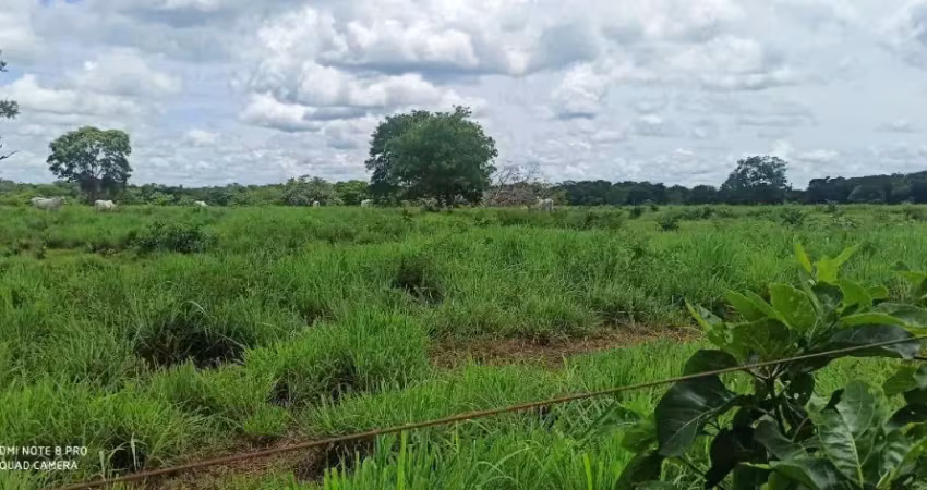 -linda fazenda com toda infraestrutura para criação gado.