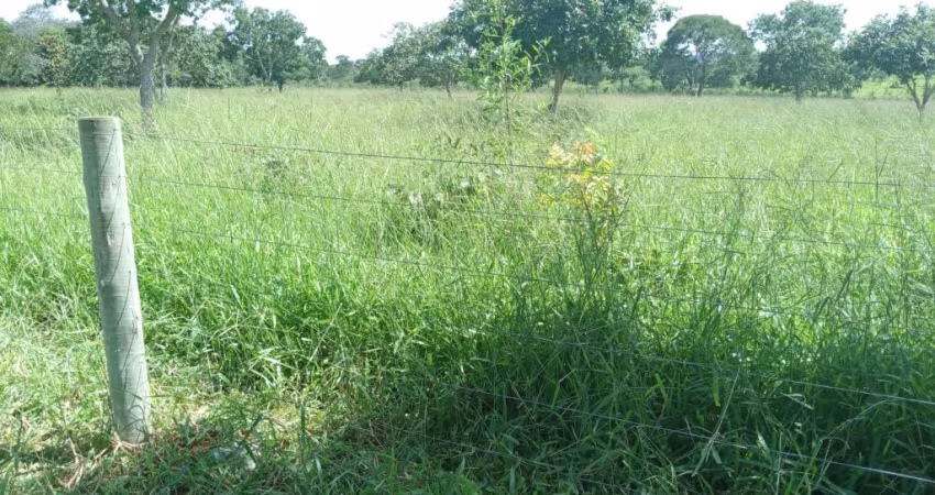 -Fazenda 600 Hectares- Buritís MG