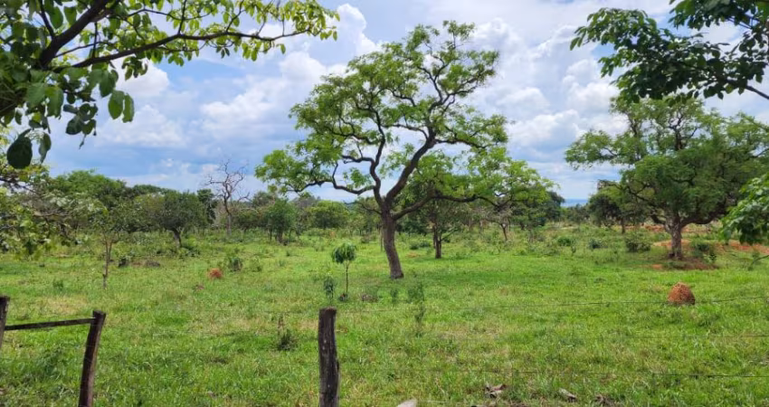 -Belíssima chácara, ampla, ótima qualidade de terra, localização privilegiada,  núcleo rural casa grande, ponte alta gama df, linda propriedade com excelente infraestrutura.