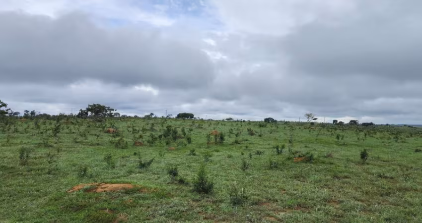 -Fazenda, localização privilegiada, para gado, terra boa, rica em água, nascentes, barragens, casa sede e de apoio oportunidade de negócio