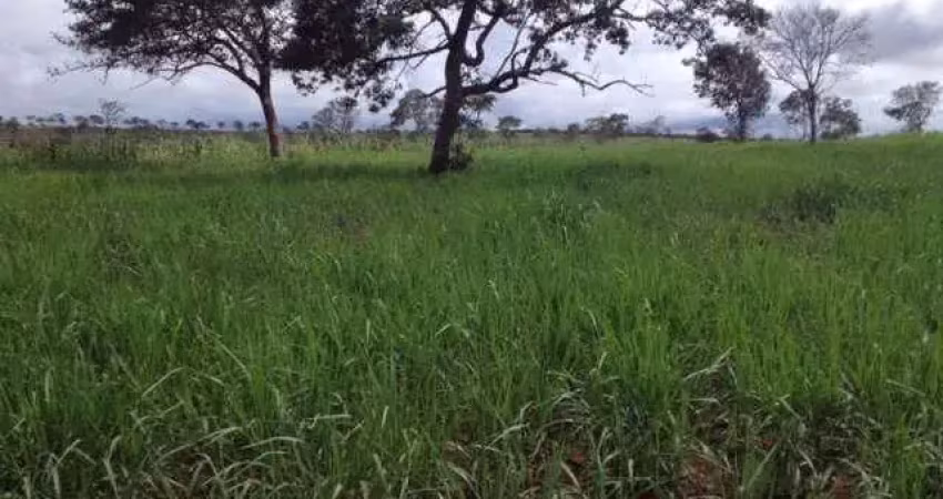 Fazenda 20900 hectares novo são joaquim dupla aptidão  confinamento