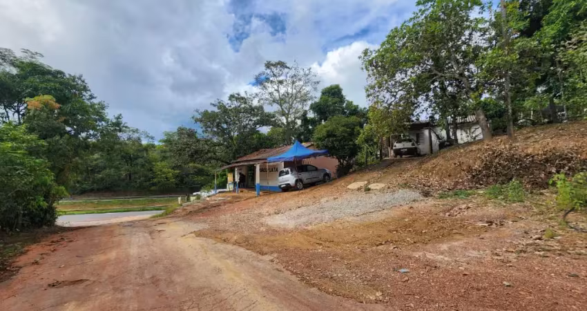 -Chácara área comercial as margens da BR 060 ideal para comercio.