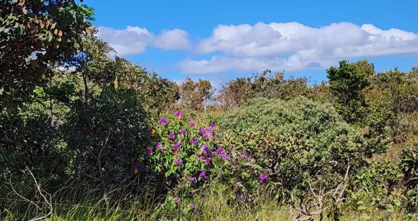 -Excelente Sítio 96hectares a 60km de Brasília, Oportunidade de negócio.