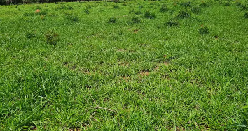 -linda fazenda arinos -mg, excelente localização estrutura par agricultura