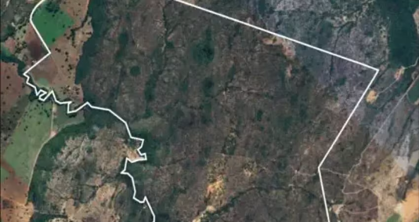 Oportunidade excelente fazenda à venda em padre bernardo, goiás, com localização privilegida, topografia plana, infraestrutura completa e abundante reserva de água. ideal para criação, agricultura ou