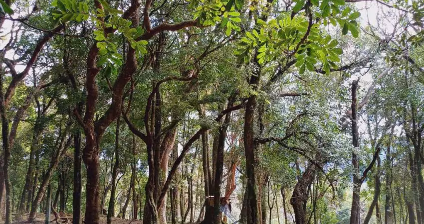 Terreno à venda no bairro são virgílio 350.000 em caxias do sul/rs