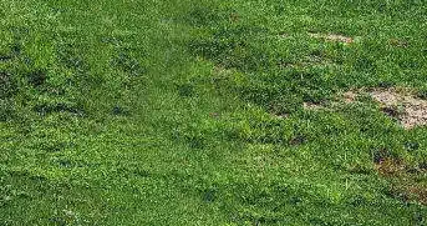 Terreno à venda na Avenida Landscape, Alphaville Nova Esplanada, Votorantim