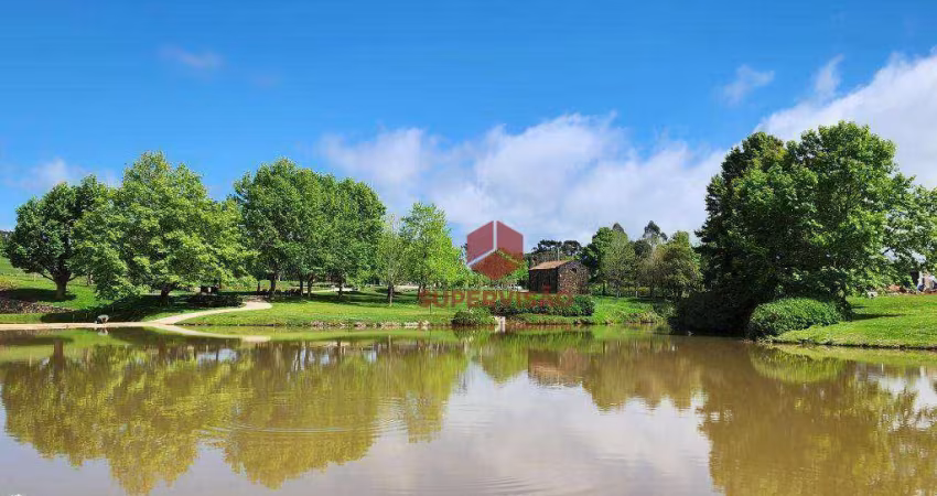 Casa à venda por R$ 4.817.961,00 - Vargedo - Rancho Queimado/SC