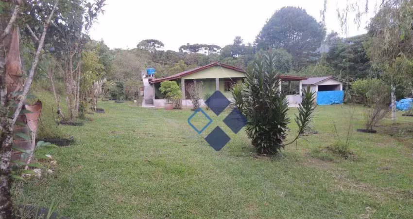 Chácara com 4 dormitórios à venda, 5522 m² por r$ 349.000,00 - zona rural - tijucas do sul/pr