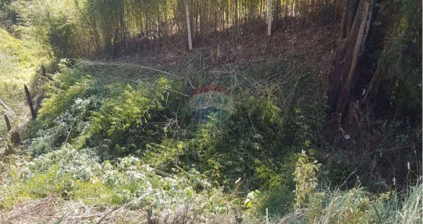 Terreno à venda no Santo Antônio, Conselheiro Lafaiete 