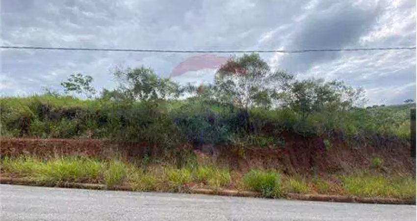 Terreno à venda na Cidade Jardim, Conselheiro Lafaiete 