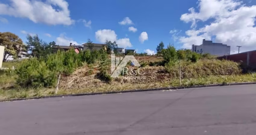 Terreno à venda na Rua Dorivia Ferrasso dos Reis, 1, Desvio Rizzo, Caxias do Sul