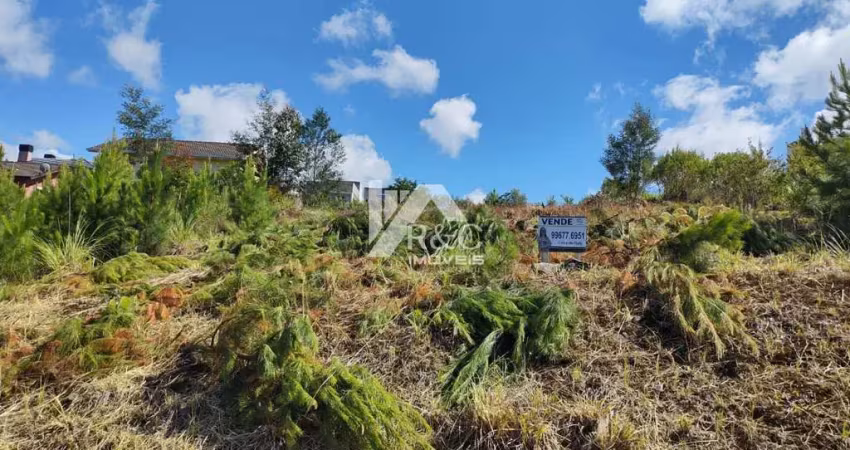 Terreno à venda na Rua Dorivia Ferrasso dos Reis, 1, Desvio Rizzo, Caxias do Sul