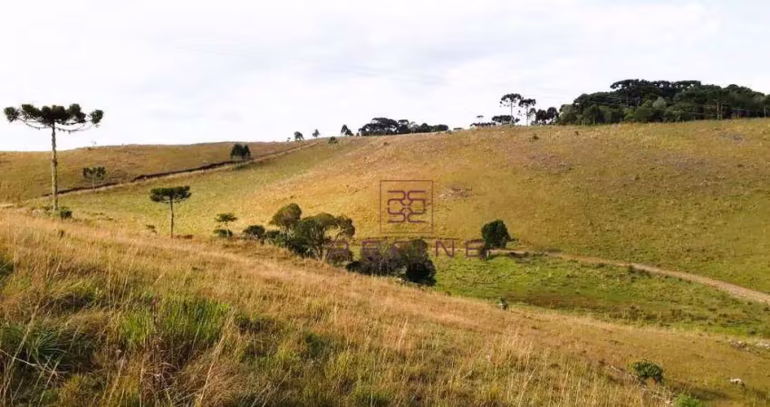 Sítio à venda, 343000 m² por r$ 1.050.000,00 - zona rural - são francisco de paula/rs