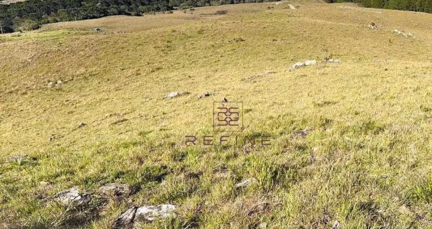 Sítio à venda, 316624 m² por r$ 1.100.000,00 - tainhas - são francisco de paula/rs