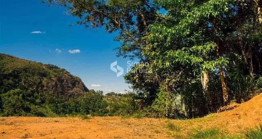 Terreno à venda, Novo Horizonte, Juiz de Fora, MG