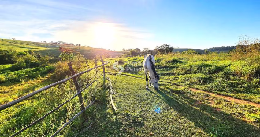 Sítio à venda, São Francisco de Assis, Matias Barbosa, MG