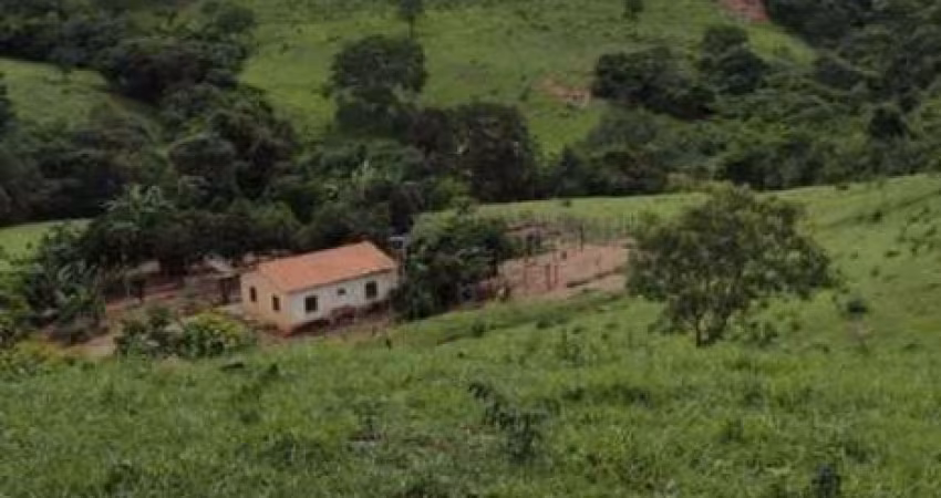 Fazenda à venda na Zona Rural, 202, Zona Rural, Cocalzinho de Goiás