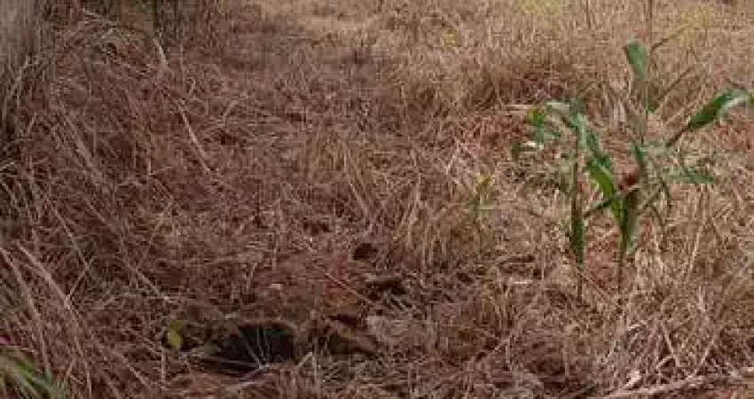 Terreno à venda na Antônio Sabino, 2, Residencial Florença, Anápolis